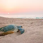 Hotel Ras Al Hadd Beach Holiday